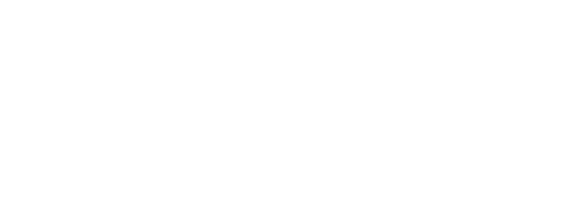 Logo Alumni sns